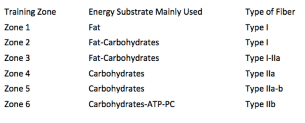 Training Zones and energy sources needed